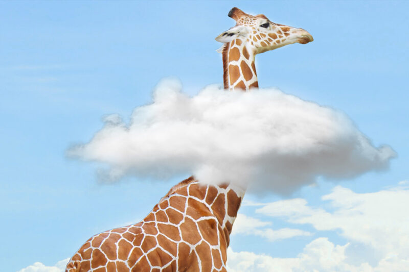 Symbolbild: Giraffe in einer Wolke