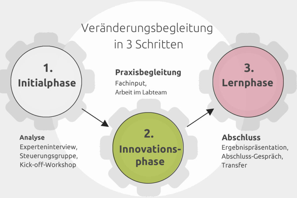 Veränderungsbegleitung in 3 Schritten, Infografik