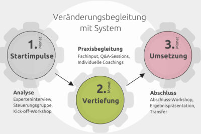 Veränderungsbegleitung mit System - 3 Monate